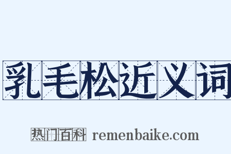乳毛松近义词是什么意思的图片